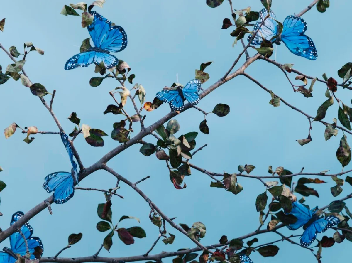 Bluesky's New 'Communities' Feature Set to Enhance User Interaction and Engagement