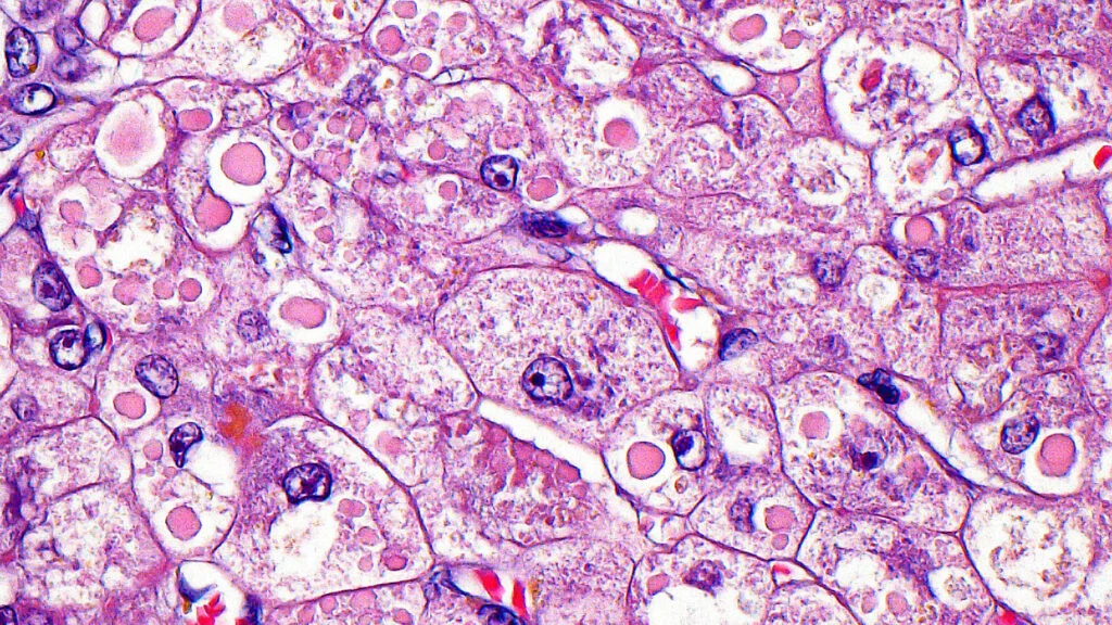 Gene-editing startup secures $230 million to challenge biotech giants with Chinese deal